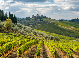 Spotlight on Tuscany