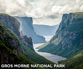 gros-morne-270x227-v5
